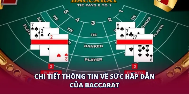 Chi tiết thông tin về sức hấp dẫn của baccarat